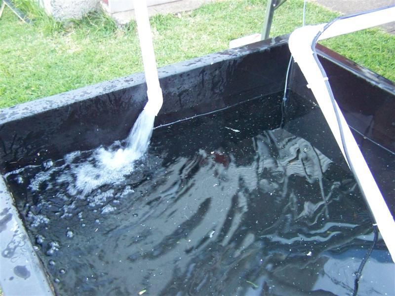 107_0428 (Medium).JPG