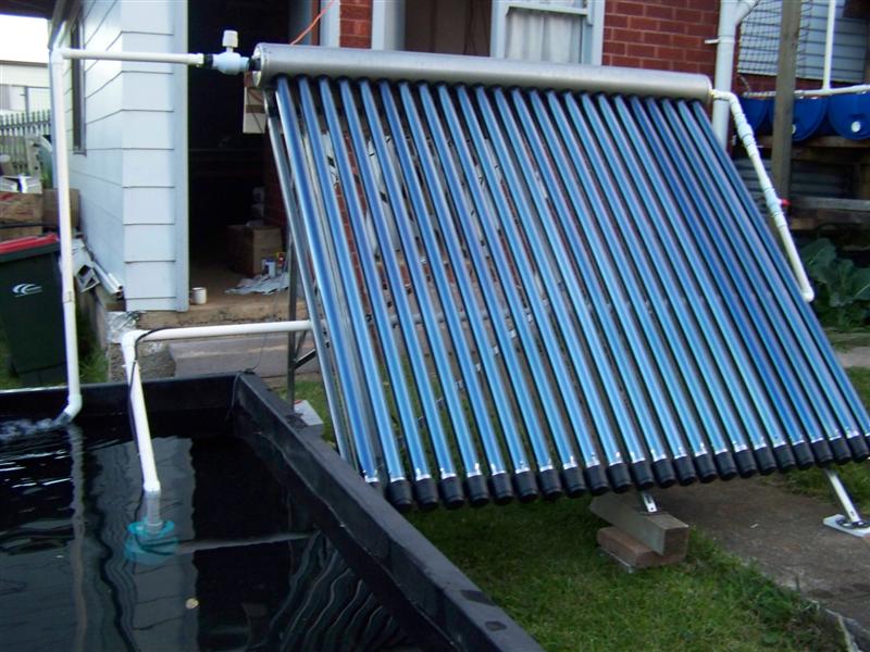 107_0431 (Medium).JPG