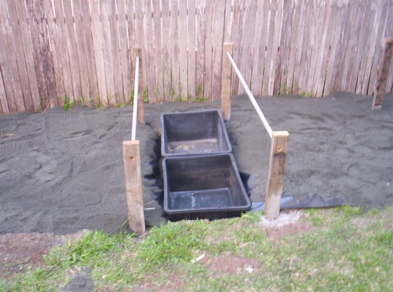 101_3778 (Medium).JPG