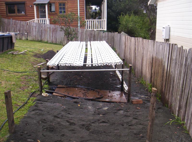 101_3796 (Medium).JPG