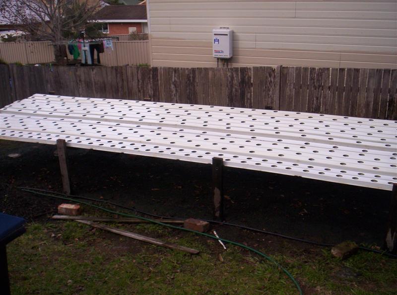 101_3795 (Medium).JPG