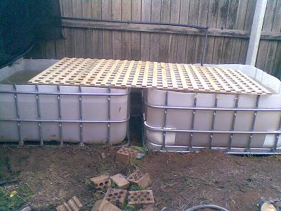 19082008(001) small.JPG