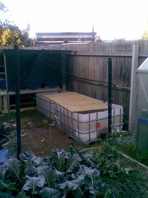 19082008(004) small.JPG