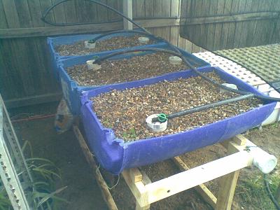 19082008(002) small.JPG