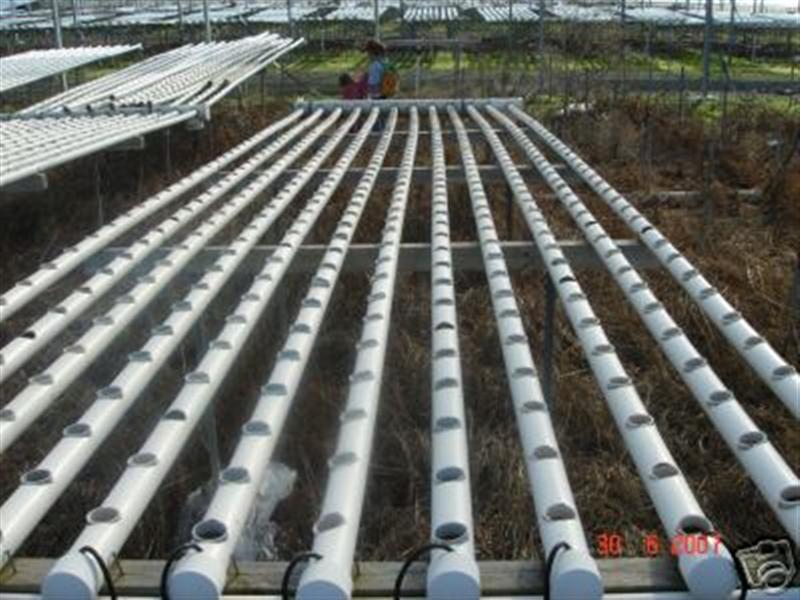 50mmpipe-440holes (Medium).jpg