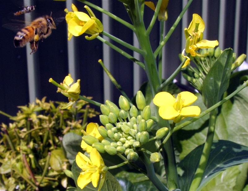 DSCF5554-jpeg (Medium).jpg