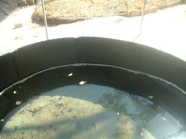 the waters are breaking.jpg