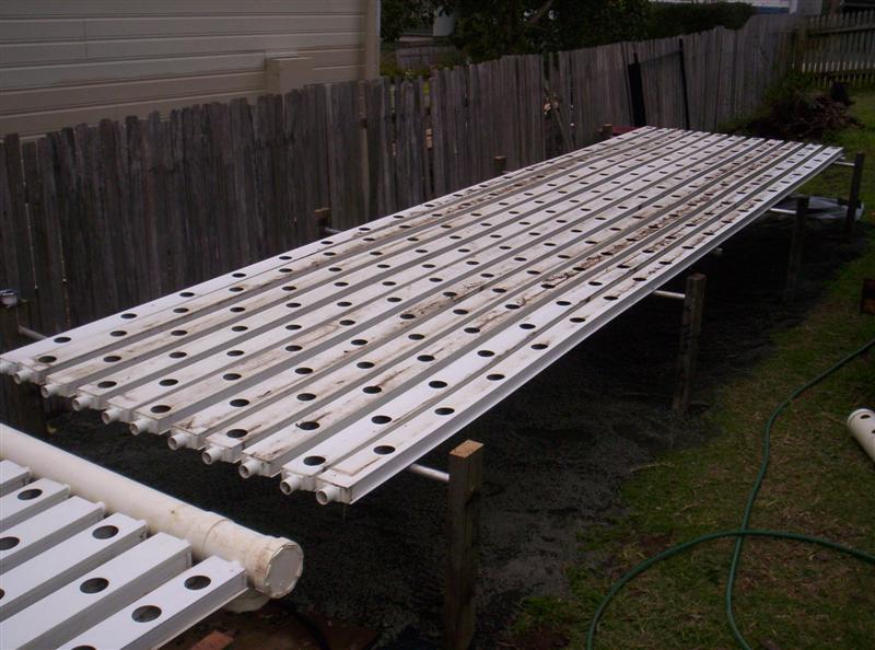 101_3820 (Medium).JPG