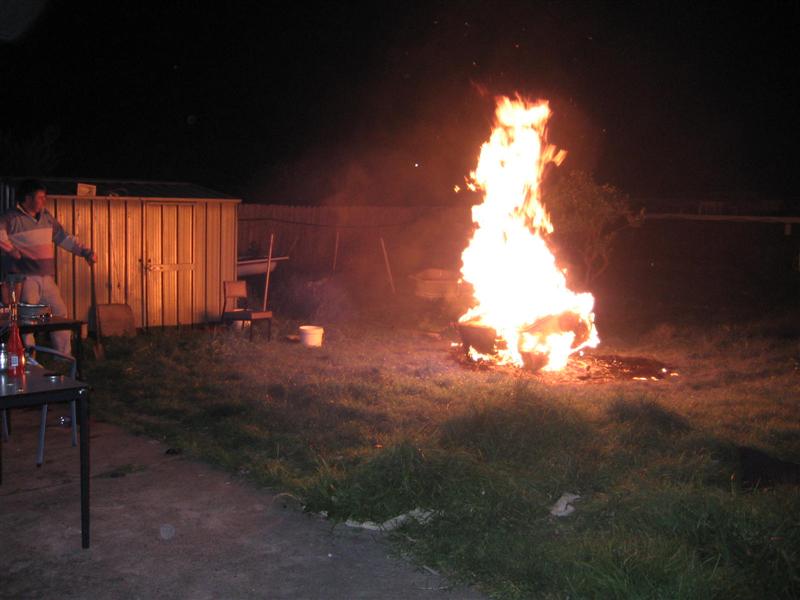 First pics 007 (Medium).jpg