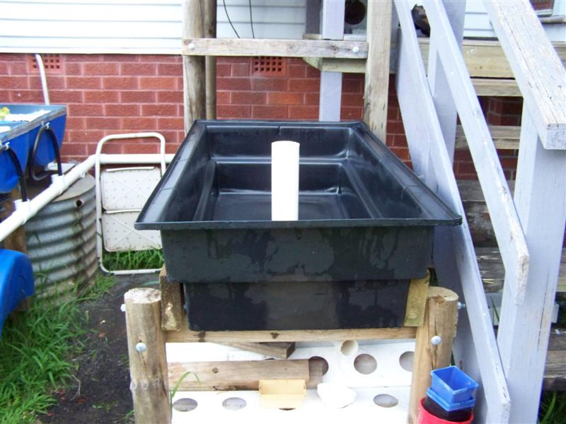 100_0679 (Medium).JPG