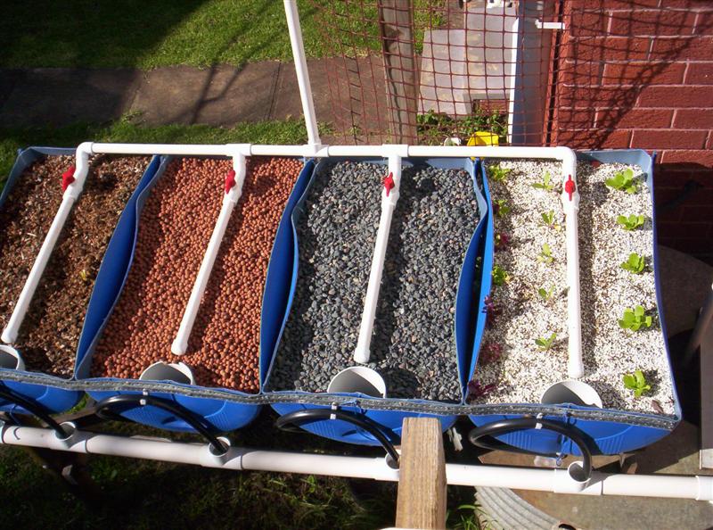 106_3770 (Medium).JPG