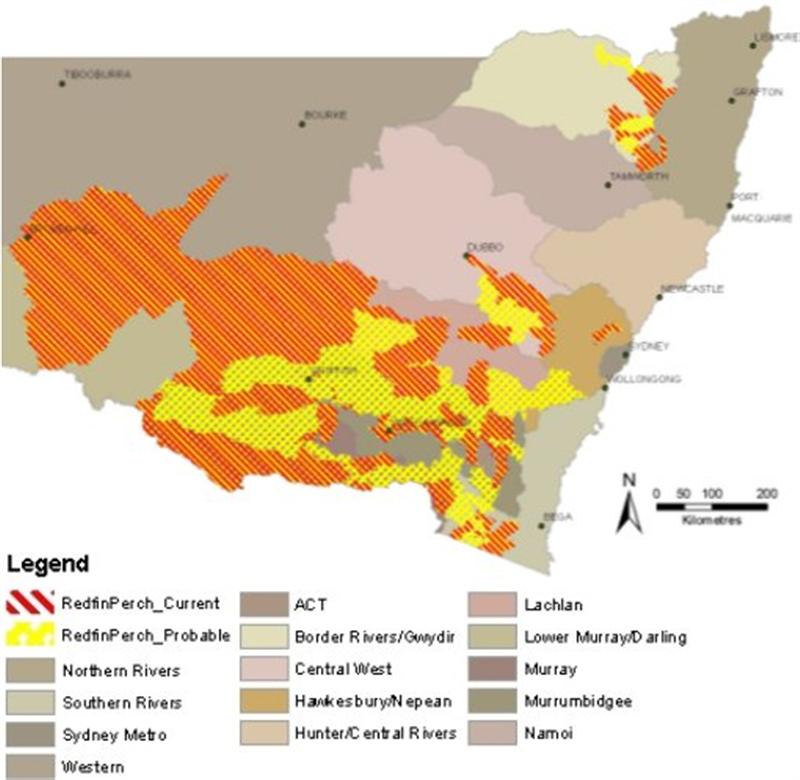 redfin-distribution (Medium).jpg