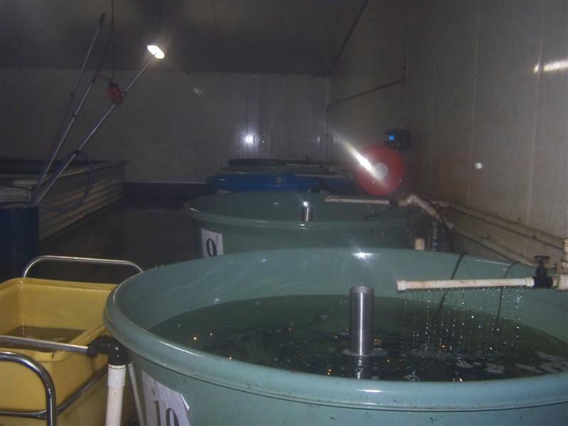 100_0727 (Medium).JPG