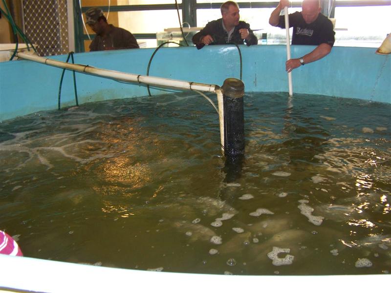 100_0579 (Medium).JPG