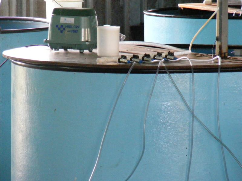 DSCF5175 (Medium).JPG