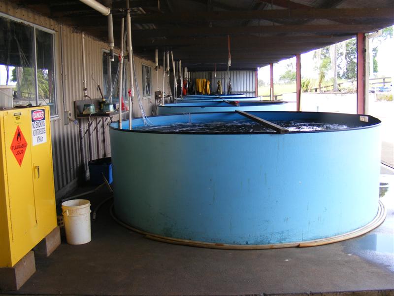 DSCF5176 (Medium).JPG