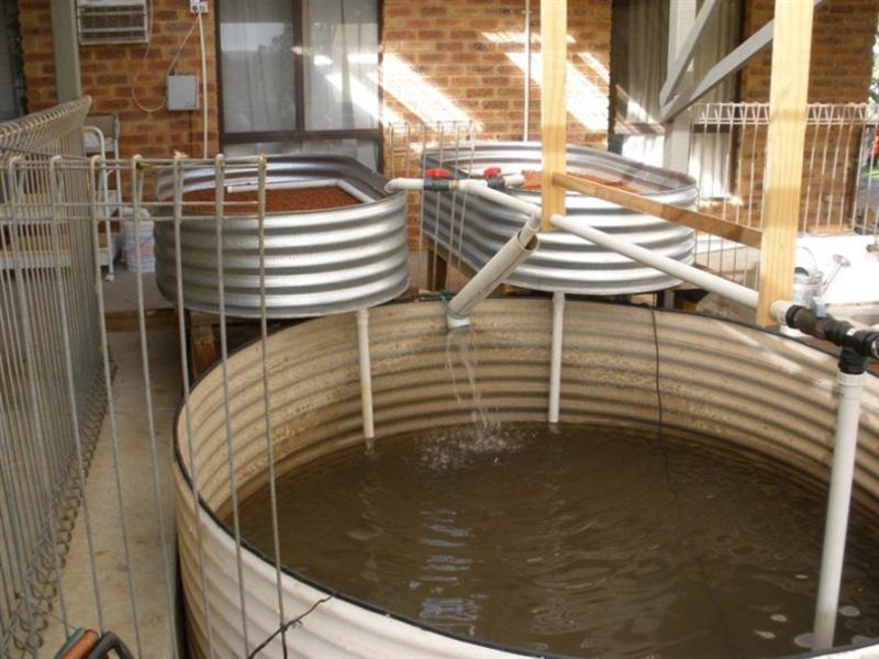 the system (Medium).JPG