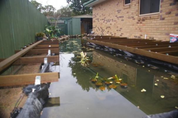 Pond and Deck028.jpg