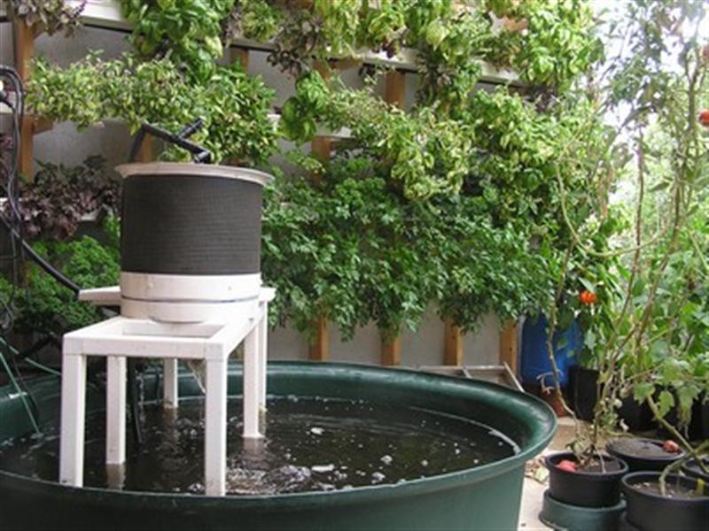 Lauries-System2 (Medium).jpg