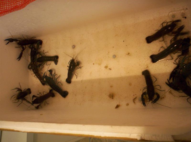 106_3706 (Medium).JPG