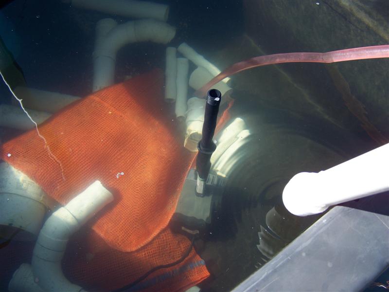 100_0825 (Medium).JPG