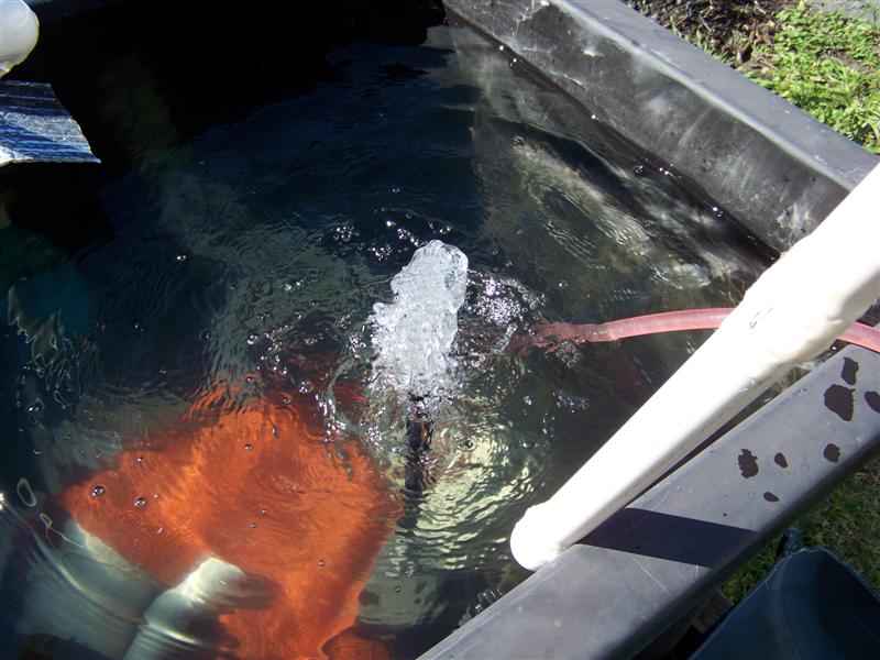 100_0827 (Medium).JPG