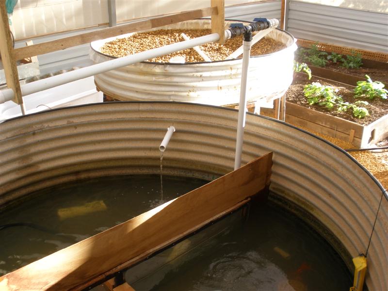 3rd bed up n running (Medium).JPG