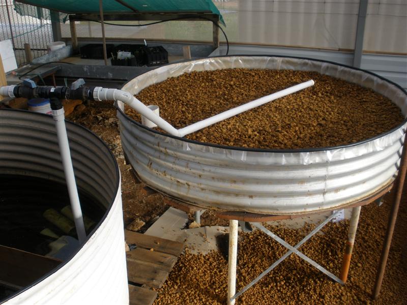 3rd bed filled (Medium).JPG