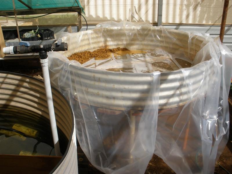 start 3rd bed (Medium).JPG