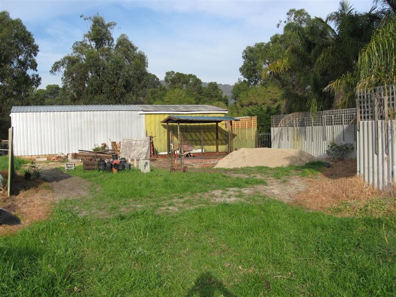 IMG_0031 (Medium).jpg