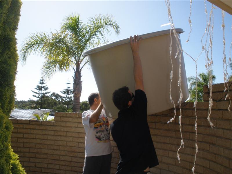 20080501_08 (Medium).JPG