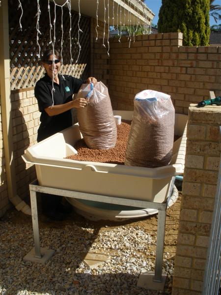 20080501_17_01 (Medium).JPG