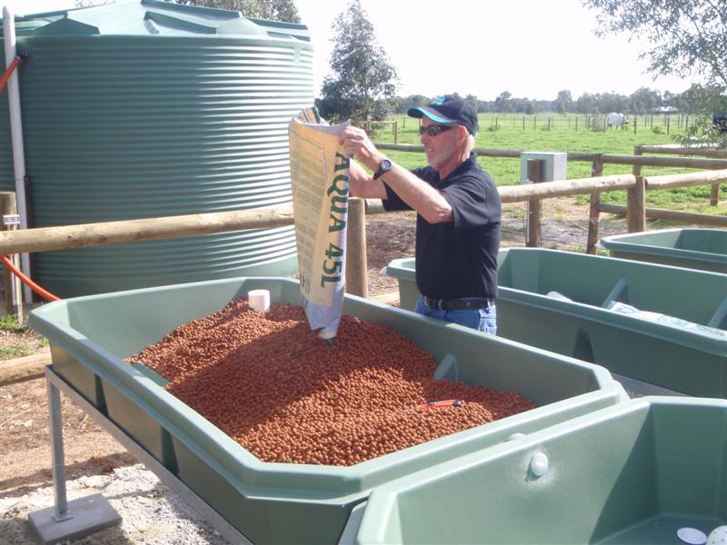 P5270090 (Medium).JPG