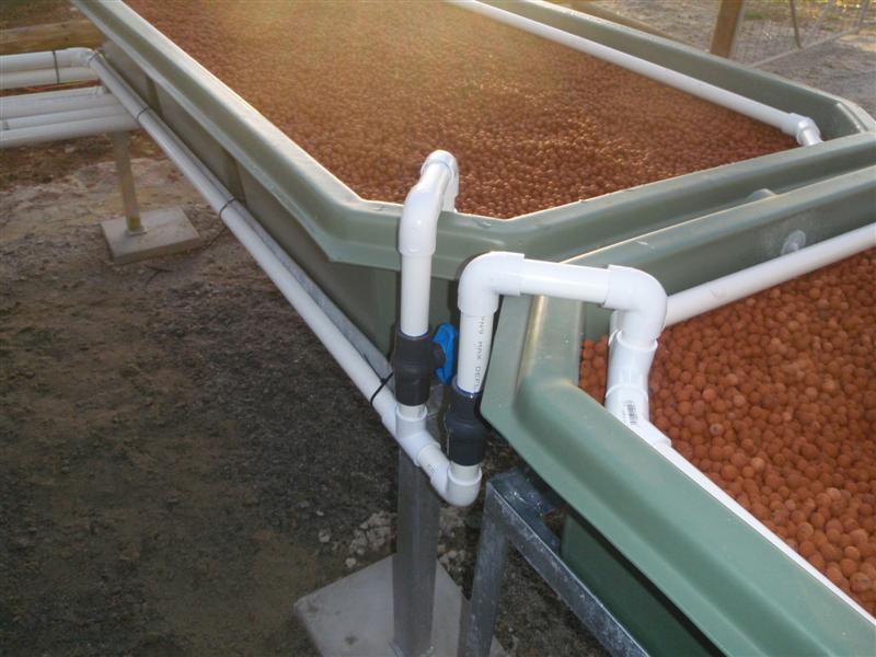 P5270132 (Medium).JPG