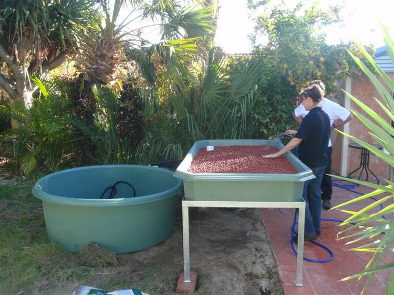 P5260058 (Medium).JPG