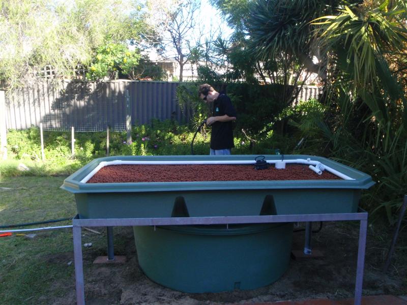 P5260063 (Medium).JPG