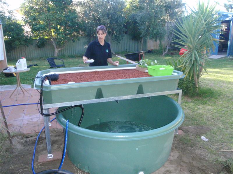 P5260065 (Medium).JPG