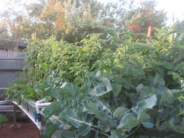 4 september next project 003 (Small).jpg