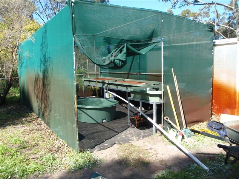 P8130011 (Medium).JPG