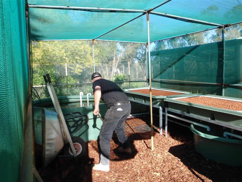 P8130020 (Medium).JPG