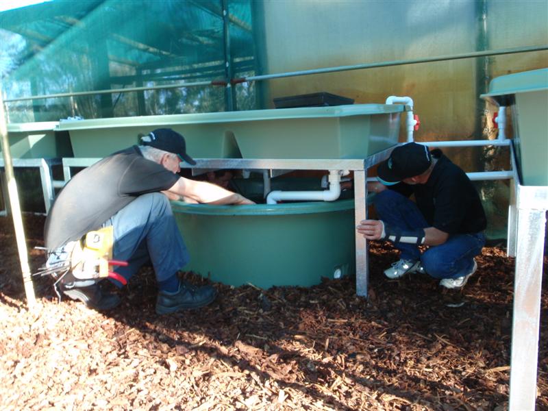 P8130023 (Medium).JPG