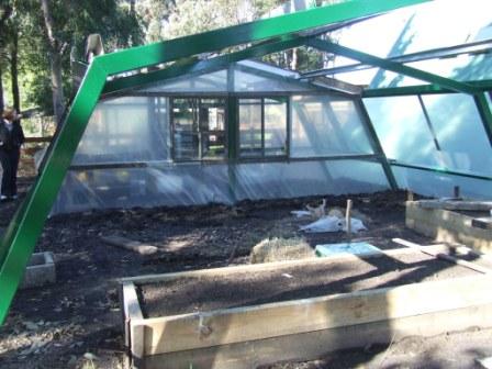 hothouse and veggie patch 006 compressed.jpg