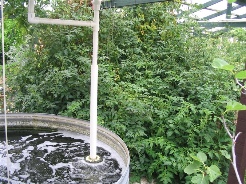 IMG_1951 (Medium).jpg