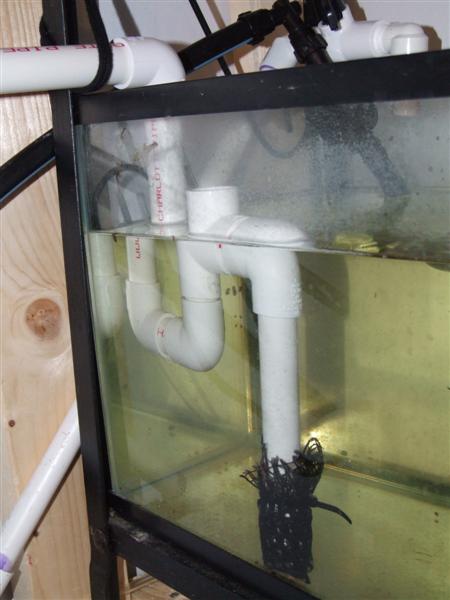 no holes venturi drain (Medium).JPG