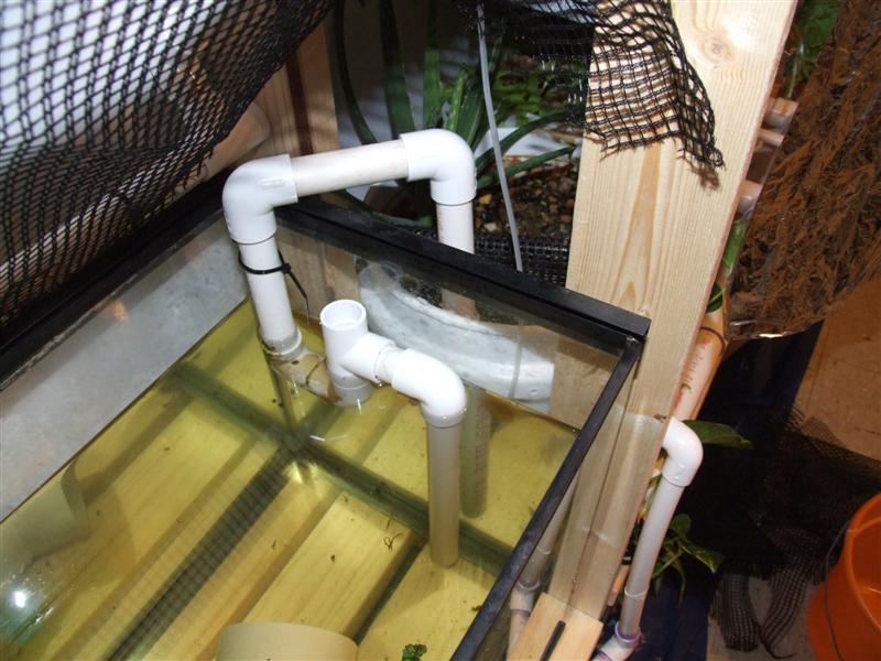 no holes venturi drain 2 (Medium).JPG