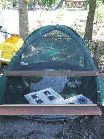 hothouse and veggie patch 004 comp.jpg