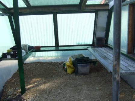 hothouse and veggie patch 009 comp.jpg