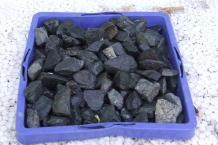 hothouse and veggie patch 006 comp.jpg