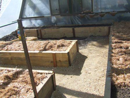 hothouse and veggie patch 015 comp.jpg