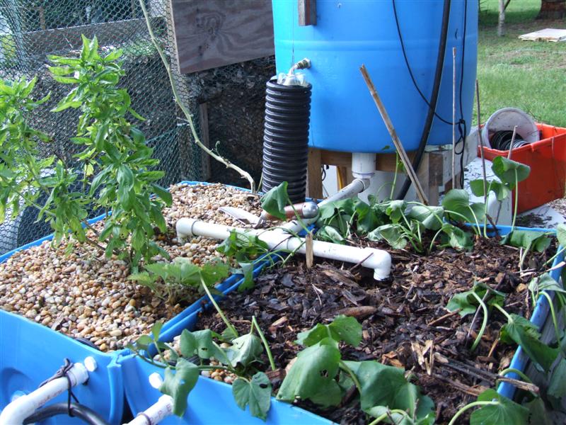 chips test (Medium).JPG